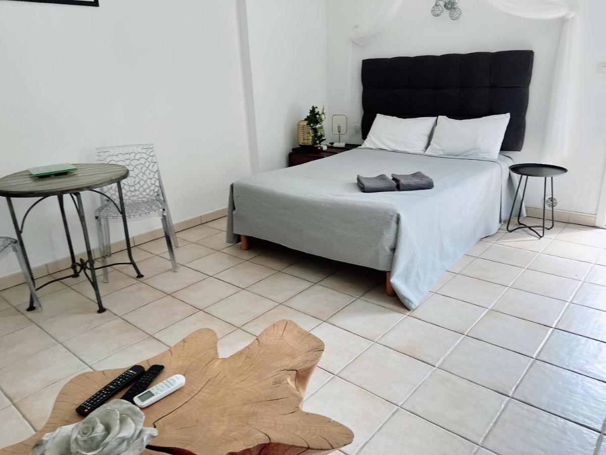 Appartement Climatise Parking Cite Paoline Corte  Exterior foto